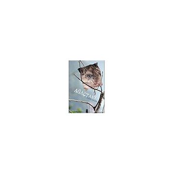 Ağaçtaki - On8 Kitap