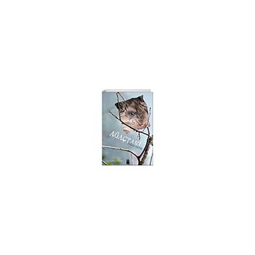 Ağaçtaki - On8 Kitap