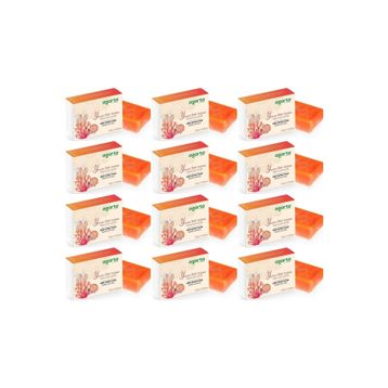 Agarta Yosun Özlü 12x150 gr El Yapımı Doğal Sabun