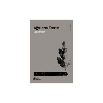 Ağıtların Tanrısı - Sepin İnceer