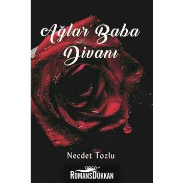 Ağlar Baba Divanı - Necdet Tozlu
