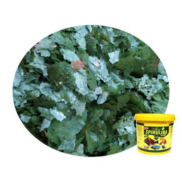 Ahm Spirulina Flake Bitkisel Pul 100 ml Balık Yemi