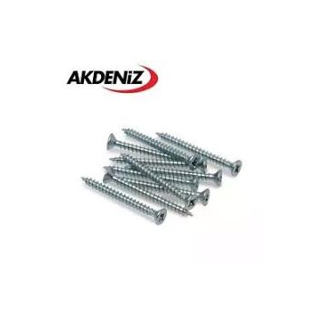 Akdeniz 4x25 mm Sunta Vidası
