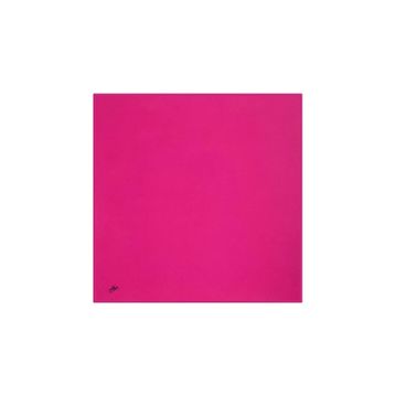 Aker 8742795999 Pembe Kadın Eşarp