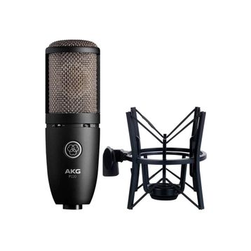 AKG Perceptıon 220 Mikrofon