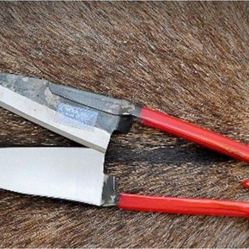 Akgün Boyalı Koyun Kırklığı