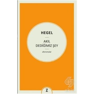 Akıl Dediğimiz Şey - Georg Wilhelm Friedrich