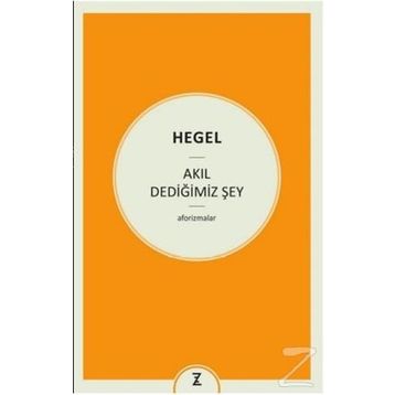 Akıl Dediğimiz Şey - Georg Wilhelm Friedrich