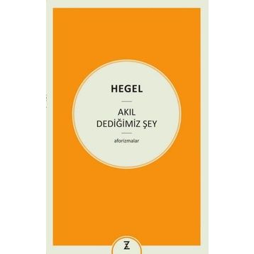 Akıl Dediğimiz Şey - Georg Wilhelm Friedrich