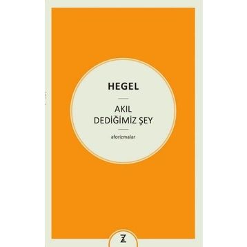 Akıl Dediğimiz Şey - Georg Wilhelm Friedrich