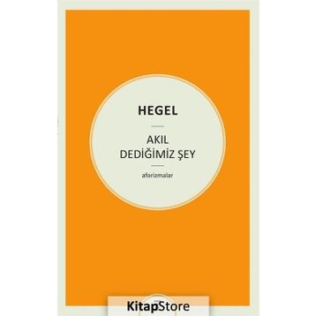 Akıl Dediğimiz Şey - Georg Wilhelm Friedrich