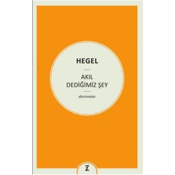 Akıl Dediğimiz Şey - Georg Wilhelm Friedrich