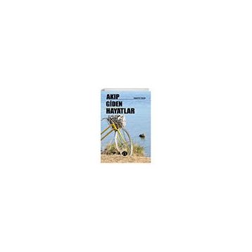 Akıp Giden Hayatlar - Herdem Kitap
