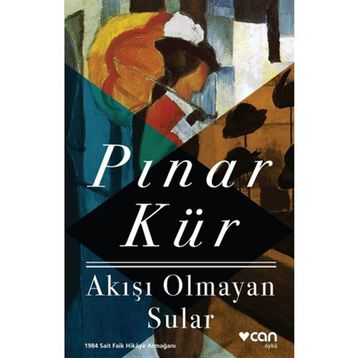 AKIŞI OLMAYAN SULAR - PINAR KÜR