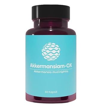 Akkermansiam-OX 60 Kapsül