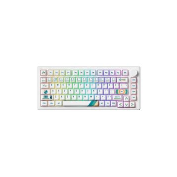 Akko MONSGEEK M1 V5 1980s RGB Kablosuz Hotswap Mekanik Gaming Klavye