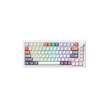 Akko MONSGEEK M1 V5 Timeline RGB Kablosuz Hotswap Mekanik Gaming Klavye