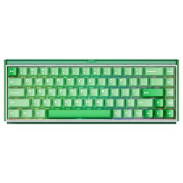Akko RAY68 He Misty Green White Astroaim Manyetik Switch Kablosuz Gaming Klavye