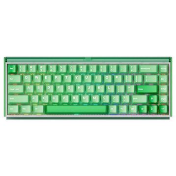 Akko RAY68 He Misty Green White Astroaim Manyetik Switch Kablosuz Gaming Klavye