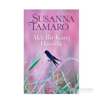 AKLI BIR KARIŞ HAVADA - SUSANNA TAMARO