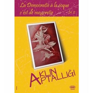 Aklın Aptallığı - Mehmet Ziya Eriş