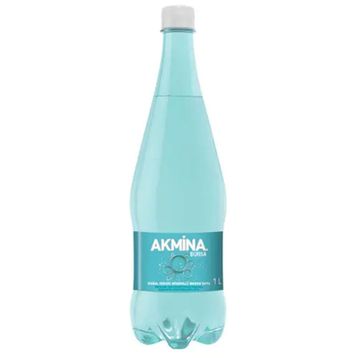 Akmina 1 L Maden Suyu Sade