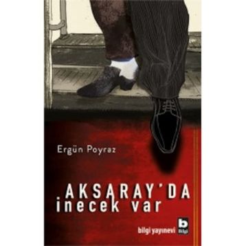 Aksaray’da İnecek Var - Ergün Poyraz