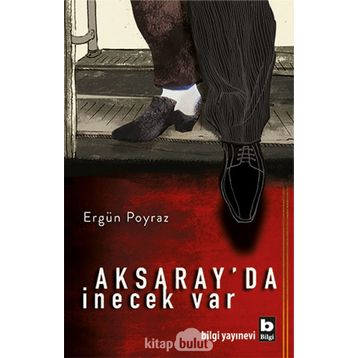Aksaray’da İnecek Var - Ergün Poyraz