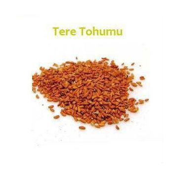 Aktar Diyarı 100 gr Tere Tohumu