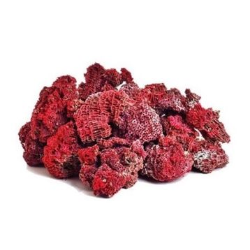Aktar Diyarı 1000 gr Yedi Kardeş Kanı