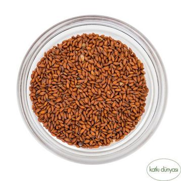 Aktar Diyarı 250 gr Tere Tohumu