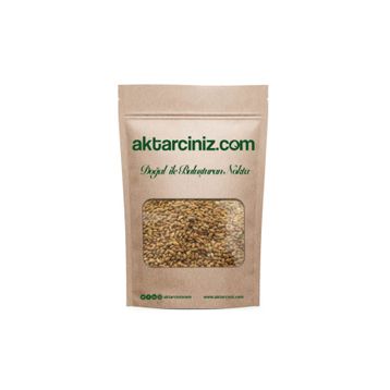 Aktarcınız 100 Gr Süpürge Tohumu