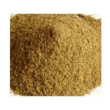 Aktarix 100 gr Bamya Tohumu