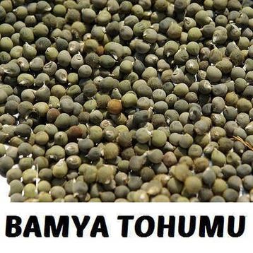 Aktarix 100 gr Bamya Tohumu