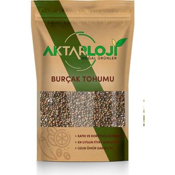 Aktarloji 1 kg Burçak Tohumu