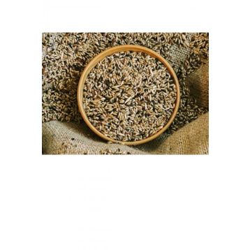 Aktarmarka 1 kg Karışık Kanarya Yemi
