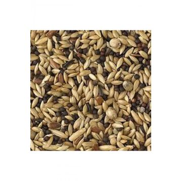 Aktarmarka 1 kg Karışık Kanarya Yemi