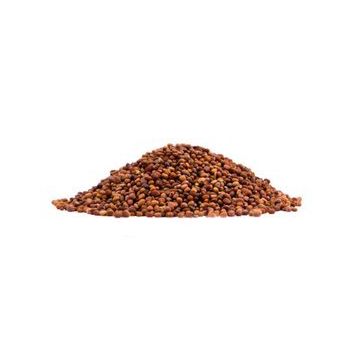 Aktarmarka 1 kg Kırmızı Turp Tohumu