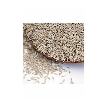 Aktarmarka 250 gr Marul Tohumu