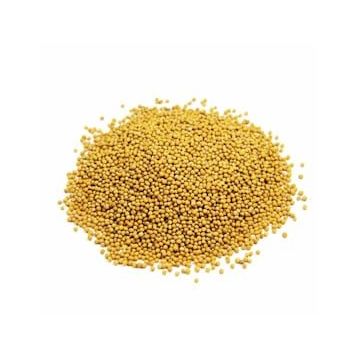 Aktarmarka 500 gr Hardal Tohumu Sarı