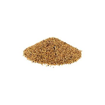 Aktarmarka 500 gr Hardal Tohumu Sarı