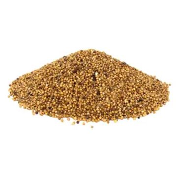Aktarzane 1 kg Sarı Hardal Tohumu