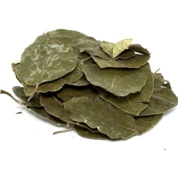 Aktarzane 100 gr Avakado Yaprağı