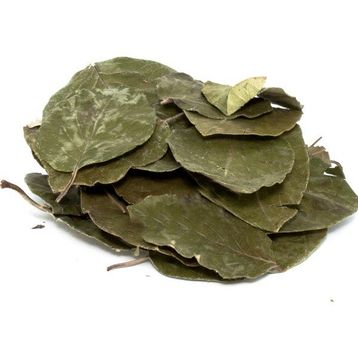 Aktarzane 250 gr Avakado Yaprağı