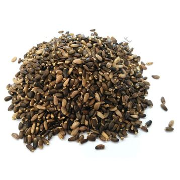 Aktarzane 250 gr Deve Dikeni