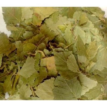 Aktarzane 250 gr Huş Ağacı Yaprağı