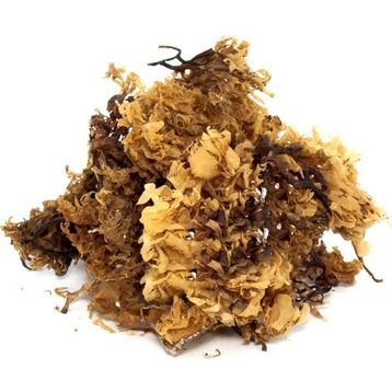 Aktarzane 50 gr Deniz Kadayıfı