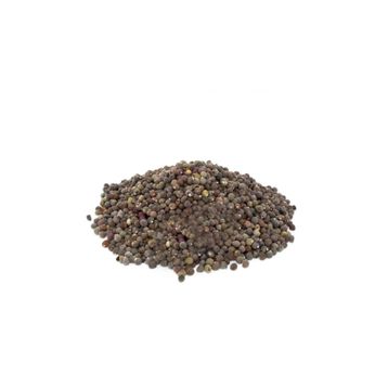 Aktarzane 500 gr Bamya Tohumu