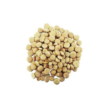 Aktarzane 500 gr Yahudi Baklası