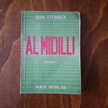 AL MIDILLI - GENEL